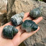 Tortoise carving moss agate