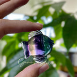 Fluorite Fish