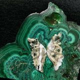 Ocean Jasper Butterfly