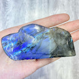 Bird Labradorite Carving