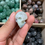 Small Skull