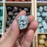 Small Skull