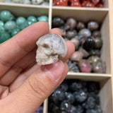 Small Skull