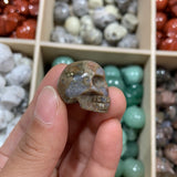 Small Skull